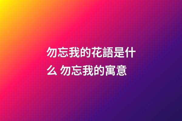 勿忘我的花語是什么 勿忘我的寓意